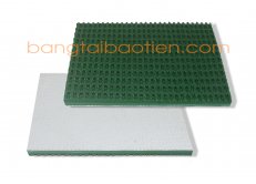 Băng tải PVC xanh gai dày 5mm - 2 lớp bố (nhám thùng)