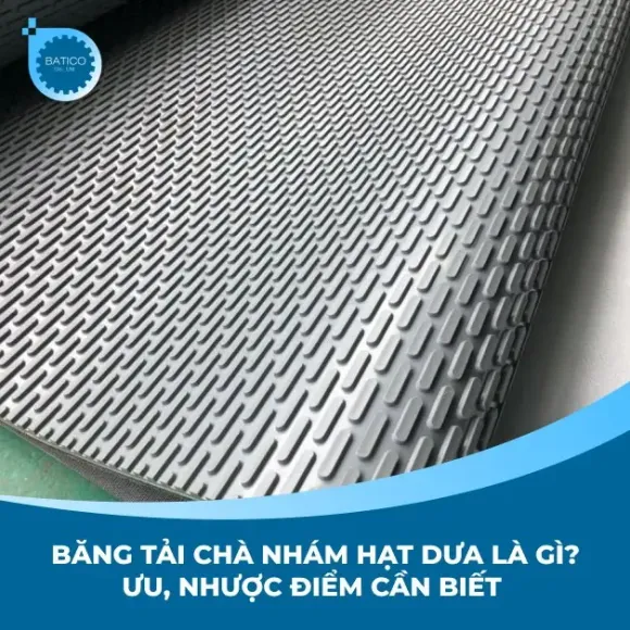 Băng tải chà nhám hạt dưa là gì? Ưu, nhược điểm cần biết