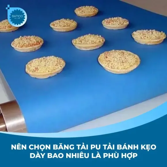 Nên chọn băng tải PU tải bánh kẹo dày bao nhiêu là phù hợp?