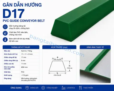 GÂN DẪN HƯỚNG D17