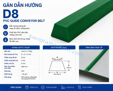 GÂN DẪN HƯỚNG D08