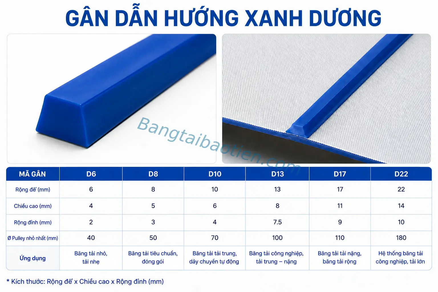 GÂN DẪN HƯỚNG D08