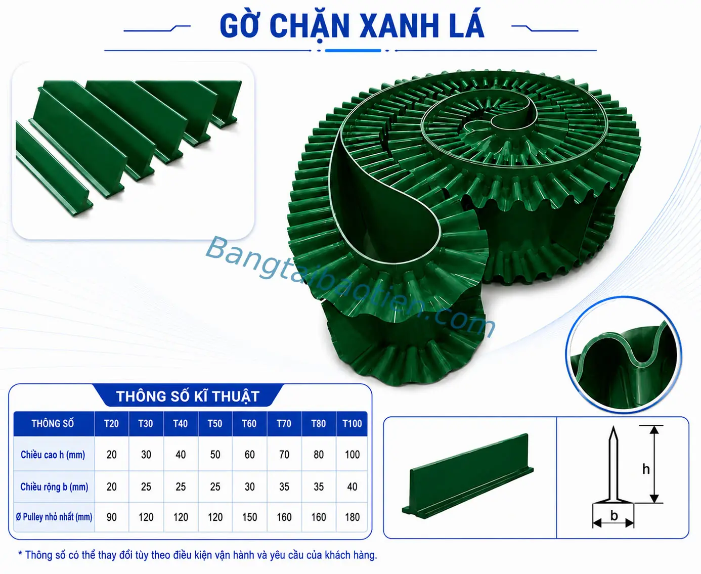GỜ CHẶN T20
