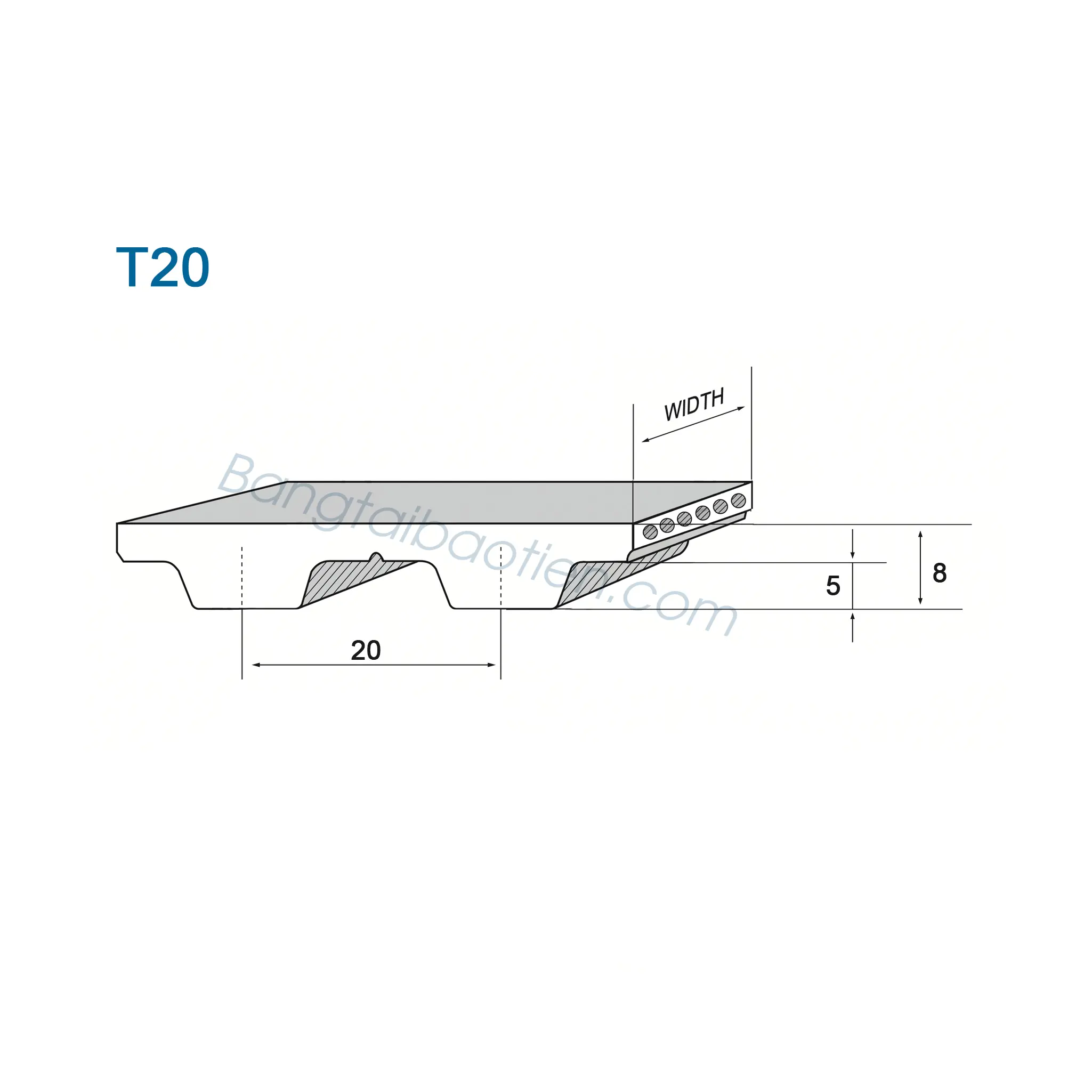 Dây PU răng T20